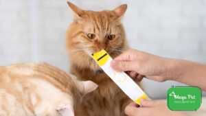 1756798737 08a4f91b86f1348eb5f6